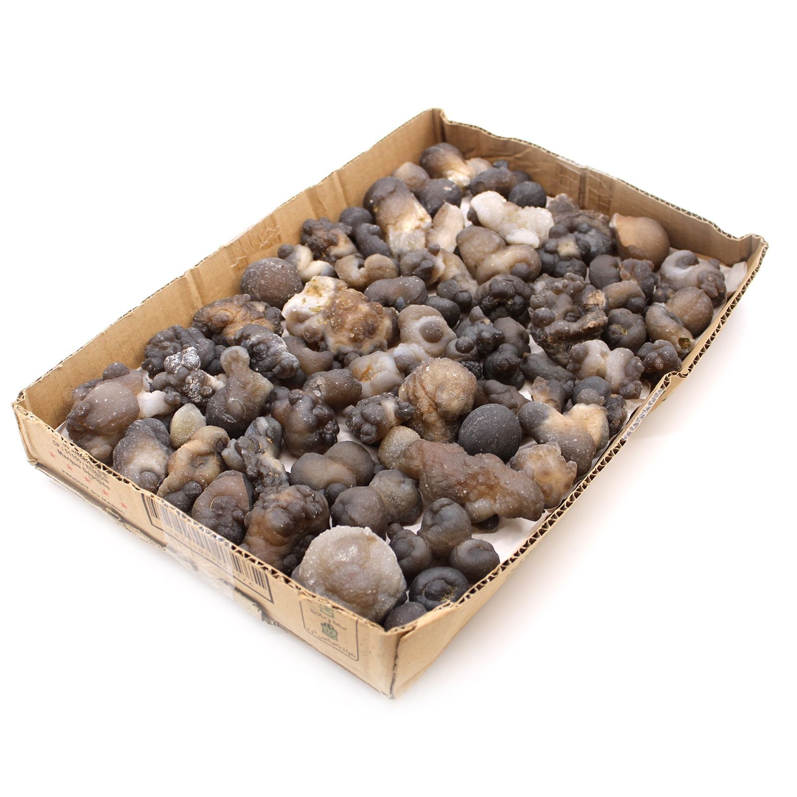 Alt Tag: Natural Chalcedony Mineral Specimens – 100-Piece Set in cardboard tray, assorted raw chalcedony nodules in gray, brown and white