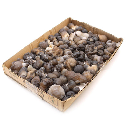 Alt Tag: Natural Chalcedony Mineral Specimens – 100-Piece Set in cardboard tray, assorted raw chalcedony nodules in gray, brown and white