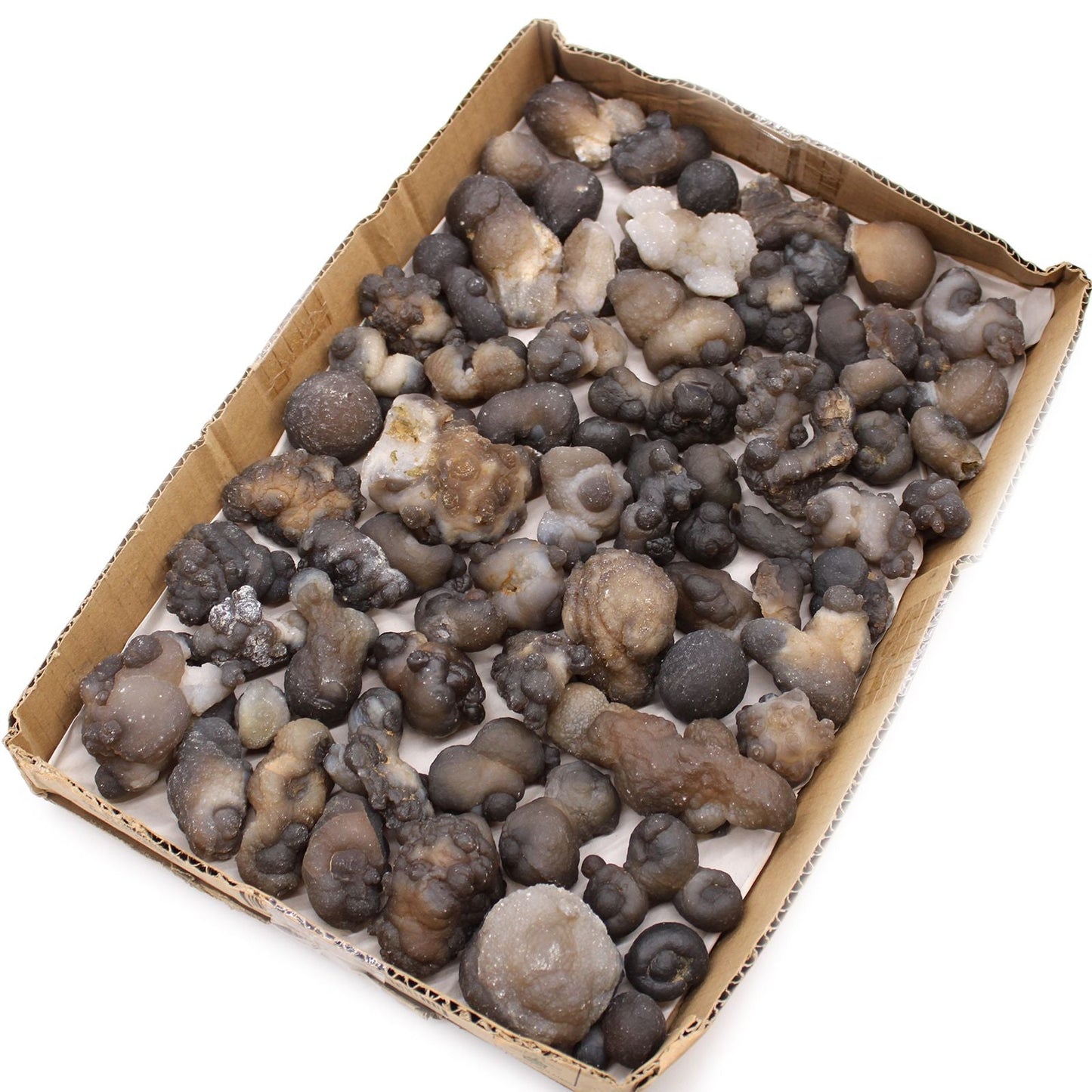 Alt Tag: Natural Chalcedony Mineral Specimens – 100-Piece Set, surtido de piedras minerales de calcedonia en bandeja de cartón