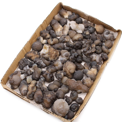 Alt Tag: Natural Chalcedony Mineral Specimens – 100-Piece Set, surtido de piedras minerales de calcedonia en bandeja de cartón