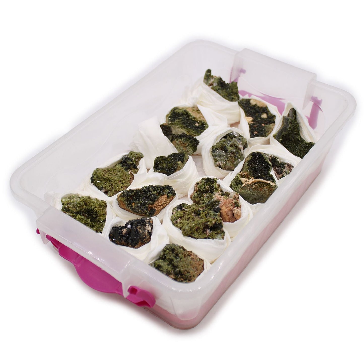 Natural Epidote Minerals – 10-Piece Set in plastic storage box, green epidote mineral specimens individually wrapped