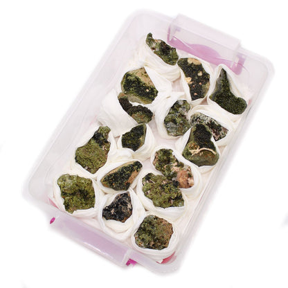 Alt Tag: Natural Epidote Minerals – 10-Piece Set, green epidote mineral specimens in a clear plastic case, Morocco