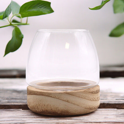 Alt Tag: Natural Tung Wood Glass Terrarium – 10x10 CM, clear glass terrarium bowl with natural tung wood base on wooden table