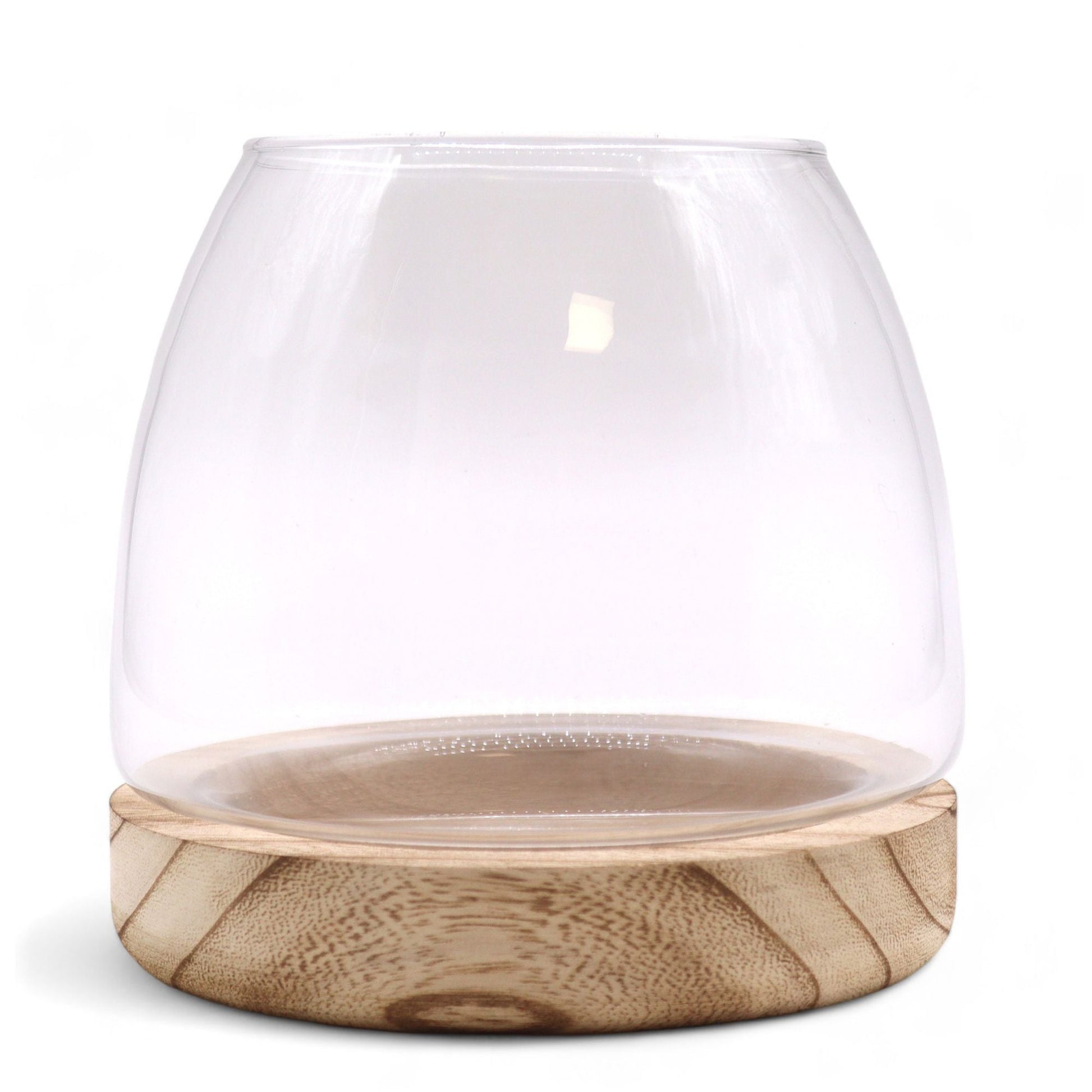 Natural Tung Wood Glass Terrarium – 15x15 CM, clear glass bowl terrarium with natural tung wood base for plants and home decor