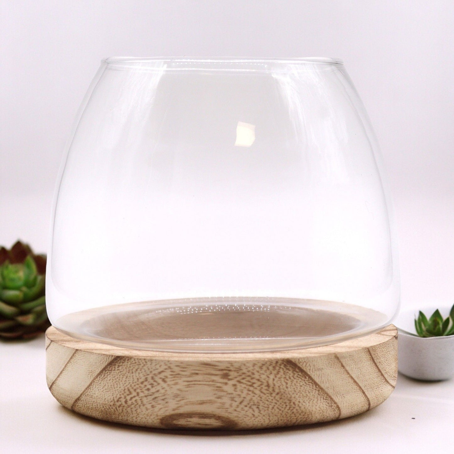 Natural Tung Wood Glass Terrarium – 15x15 CM, clear glass bowl terrarium with natural tung wood base for plants and home decor