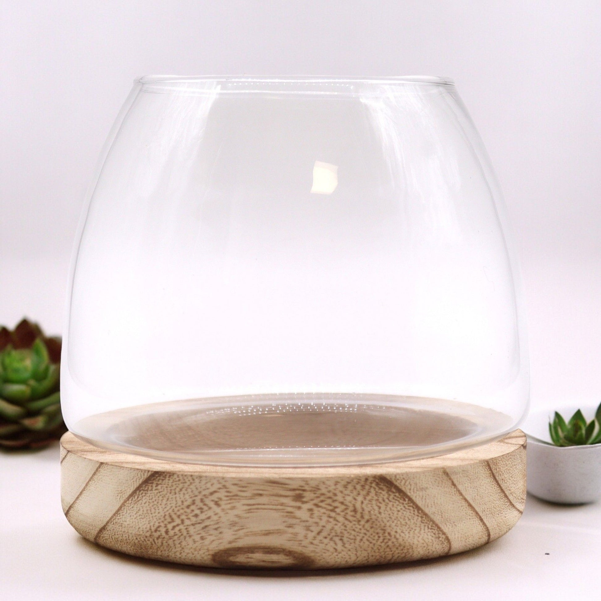 Natural Tung Wood Glass Terrarium – 15x15 CM, clear glass bowl terrarium with natural tung wood base for plants and home decor