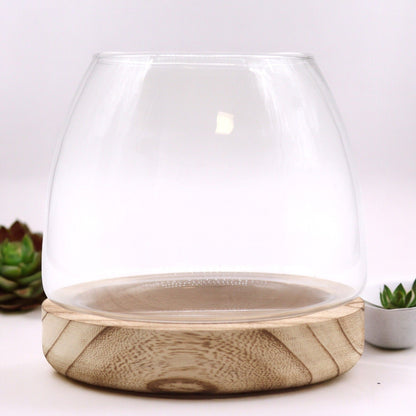 Natural Tung Wood Glass Terrarium – 15x15 CM, clear glass bowl terrarium with natural tung wood base for plants and home decor