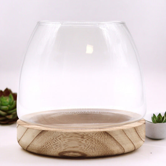 Natural Tung Wood Glass Terrarium – 15x15 CM, clear glass bowl terrarium with natural tung wood base for plants and home decor
