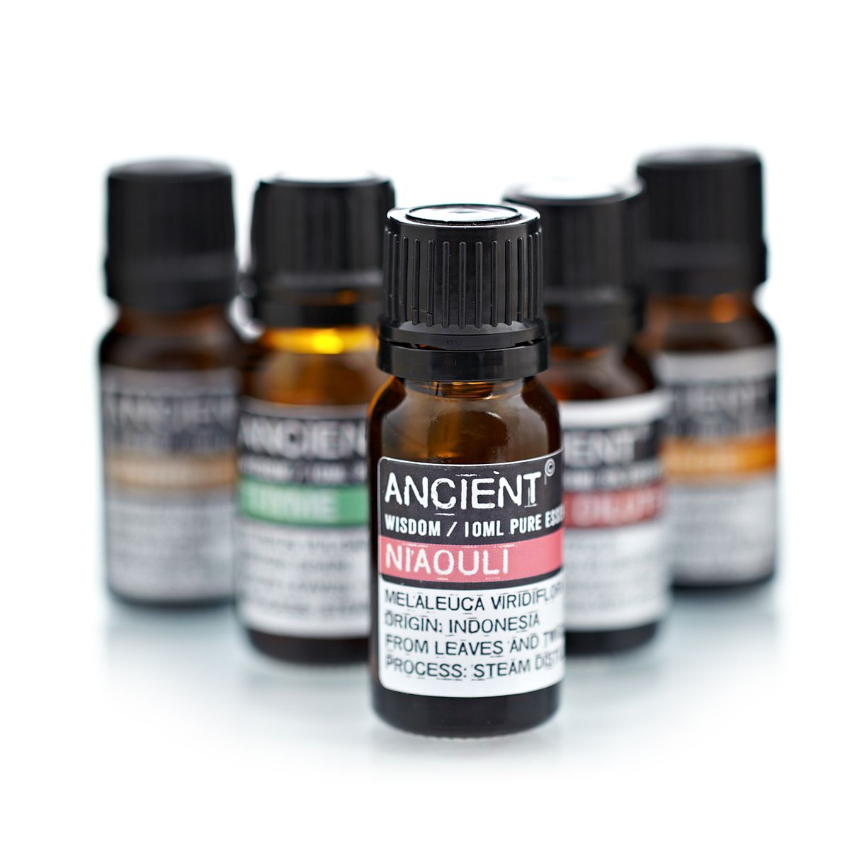 Alt Tag: Niaouli Essential Oil – 10ML amber glass bottle, steam distilled from Melaleuca viridiflora leaves and twigs, Indonesia