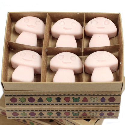 Soy & Palm Luxury Wax Melts – Old Ginger Gift Set with six pink mushroom-shaped wax melts in a boxed set