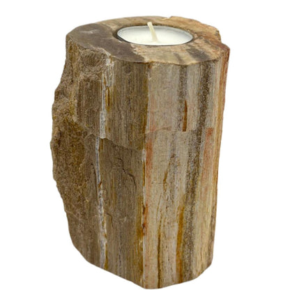 Petrified Wood Candle Holder – Single Tall de madera petrificada natural con vela tealight, acabado rústico en tonos beige y marrón