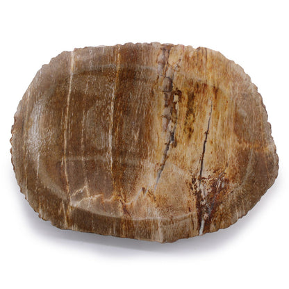 Petrified Wood Stone Soap Dish – 13x10x1.5 CM, natural petrified wood soap dish with earthy grain pattern, oval shape