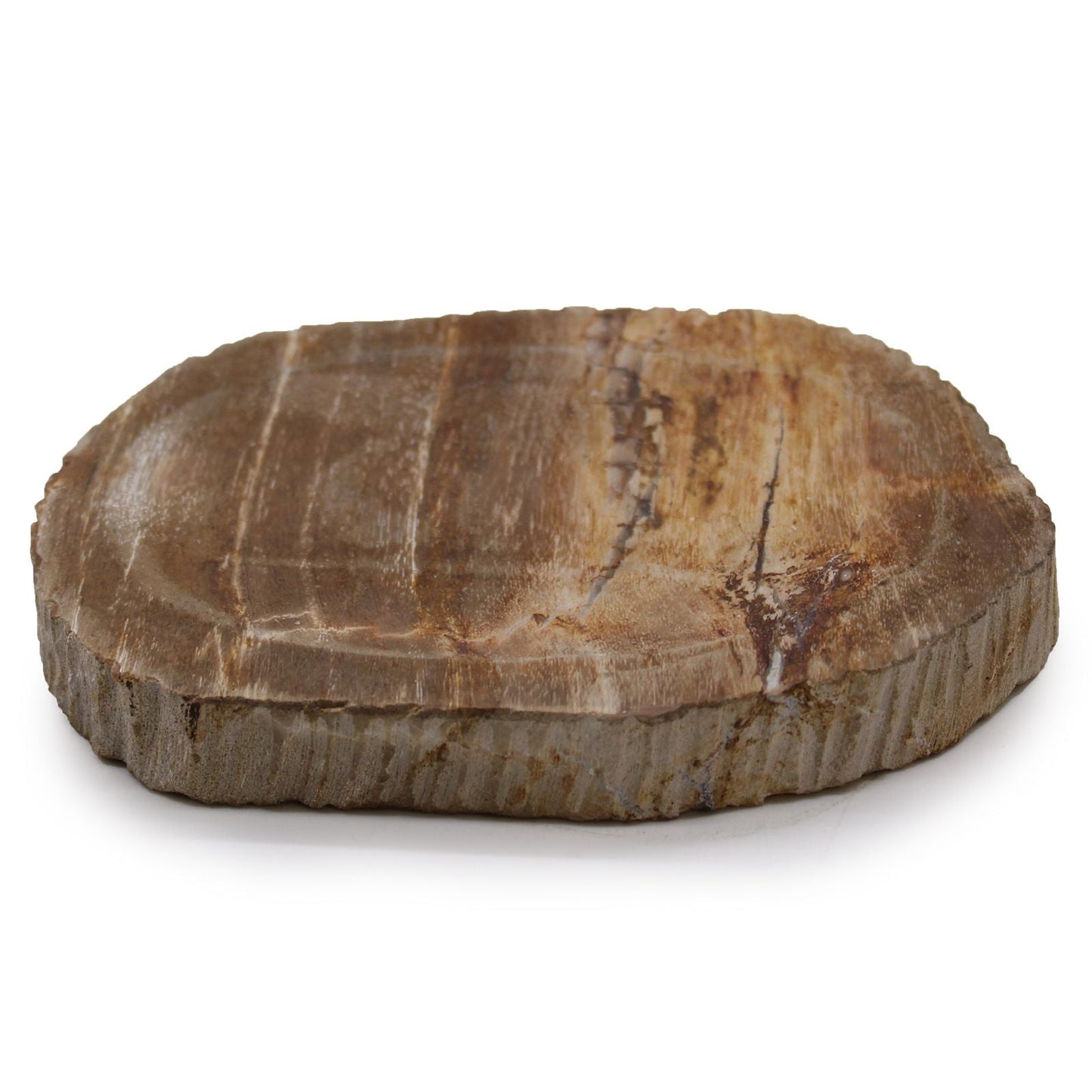 Petrified Wood Stone Soap Dish – 13x10x1.5 CM, jabonera de piedra de madera petrificada natural en tonos tierra, vista frontal