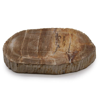 Petrified Wood Stone Soap Dish – 13x10x1.5 CM, jabonera de piedra de madera petrificada natural en tonos tierra, vista frontal