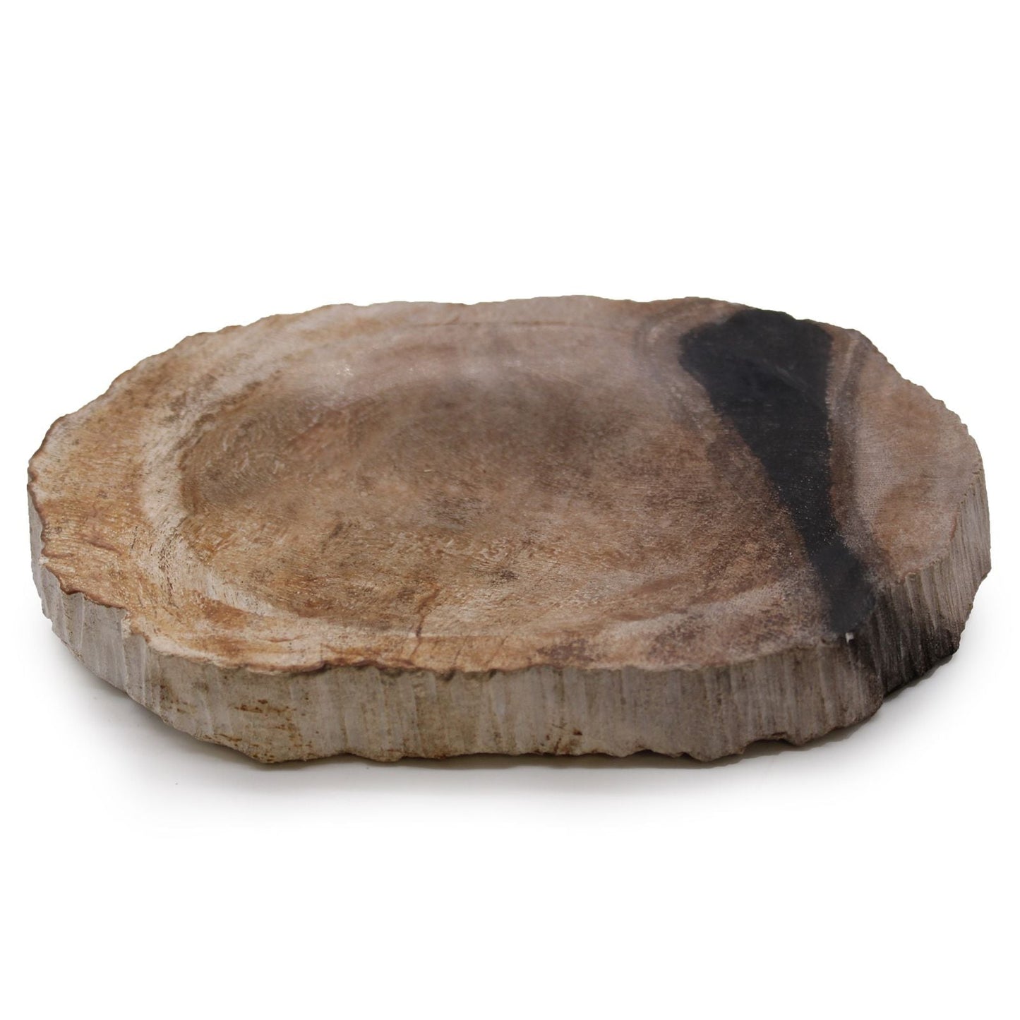Petrified Wood Stone Soap Dish – 14.5x10 CM, bandeja para jabón de piedra con vetas naturales, vista superior