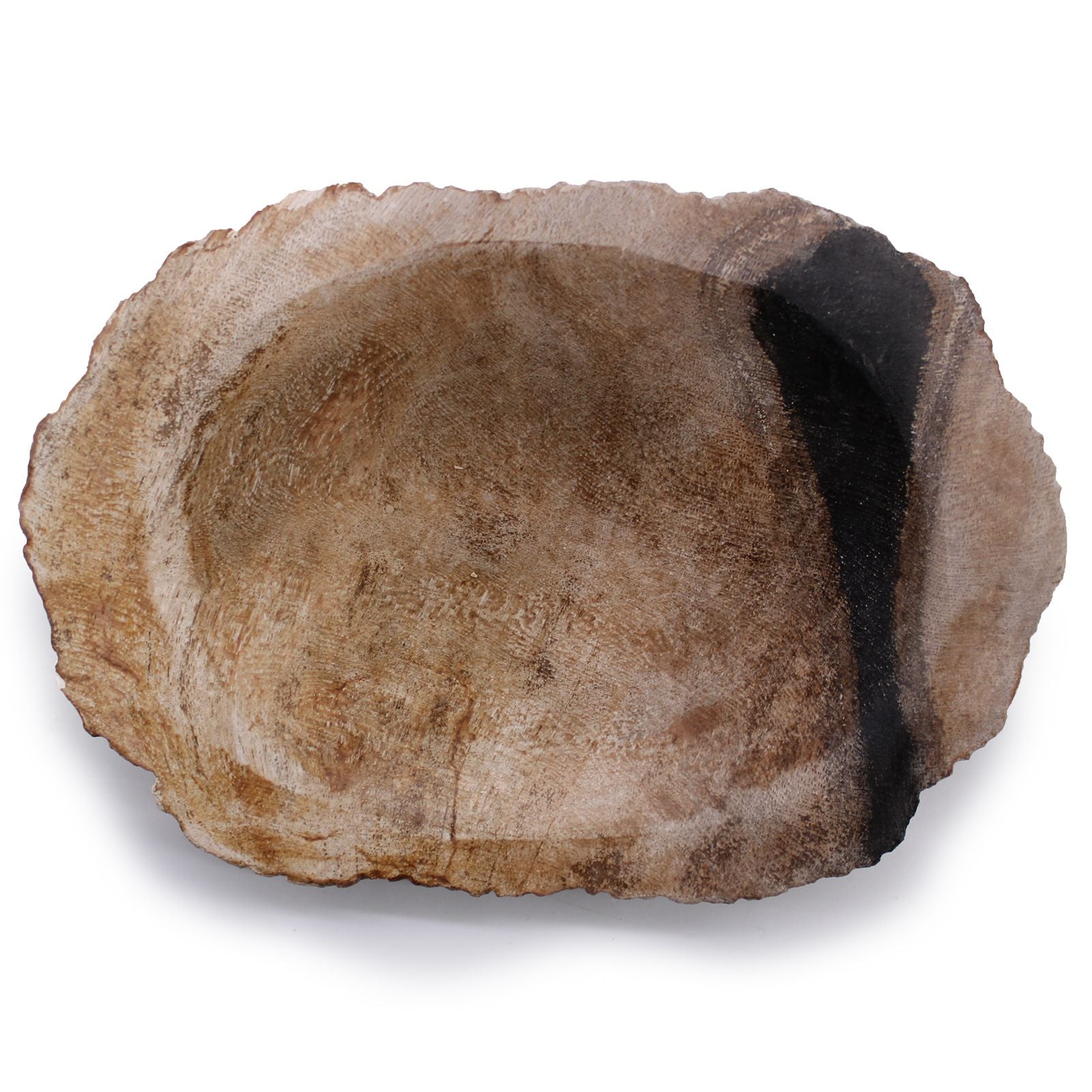 Alt Tag: Petrified Wood Stone Soap Dish – 14.5x10 CM natural petrified wood soap dish with organic stone grain, oval design
