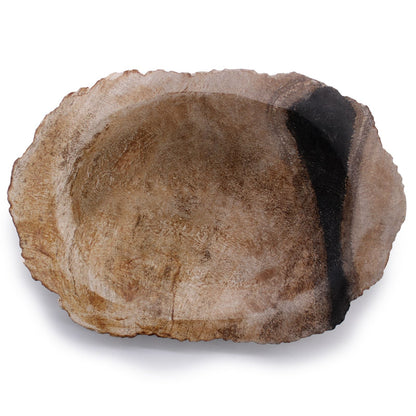 Alt Tag: Petrified Wood Stone Soap Dish – 14.5x10 CM natural petrified wood soap dish with organic stone grain, oval design