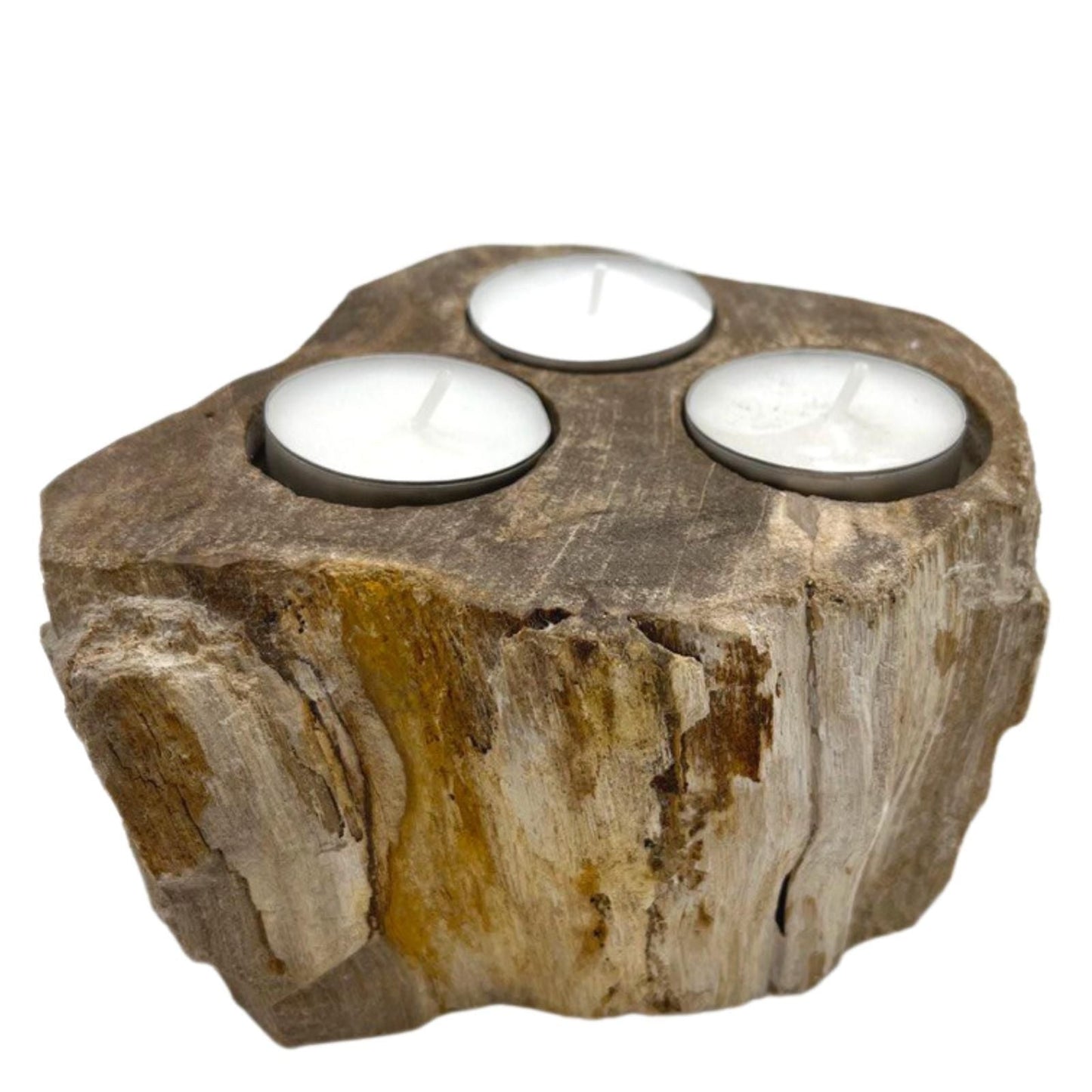 Petrified Wood Candle Holder – Triple 15 CM with three tealight candles, handcrafted petrified wood centerpiece on white background