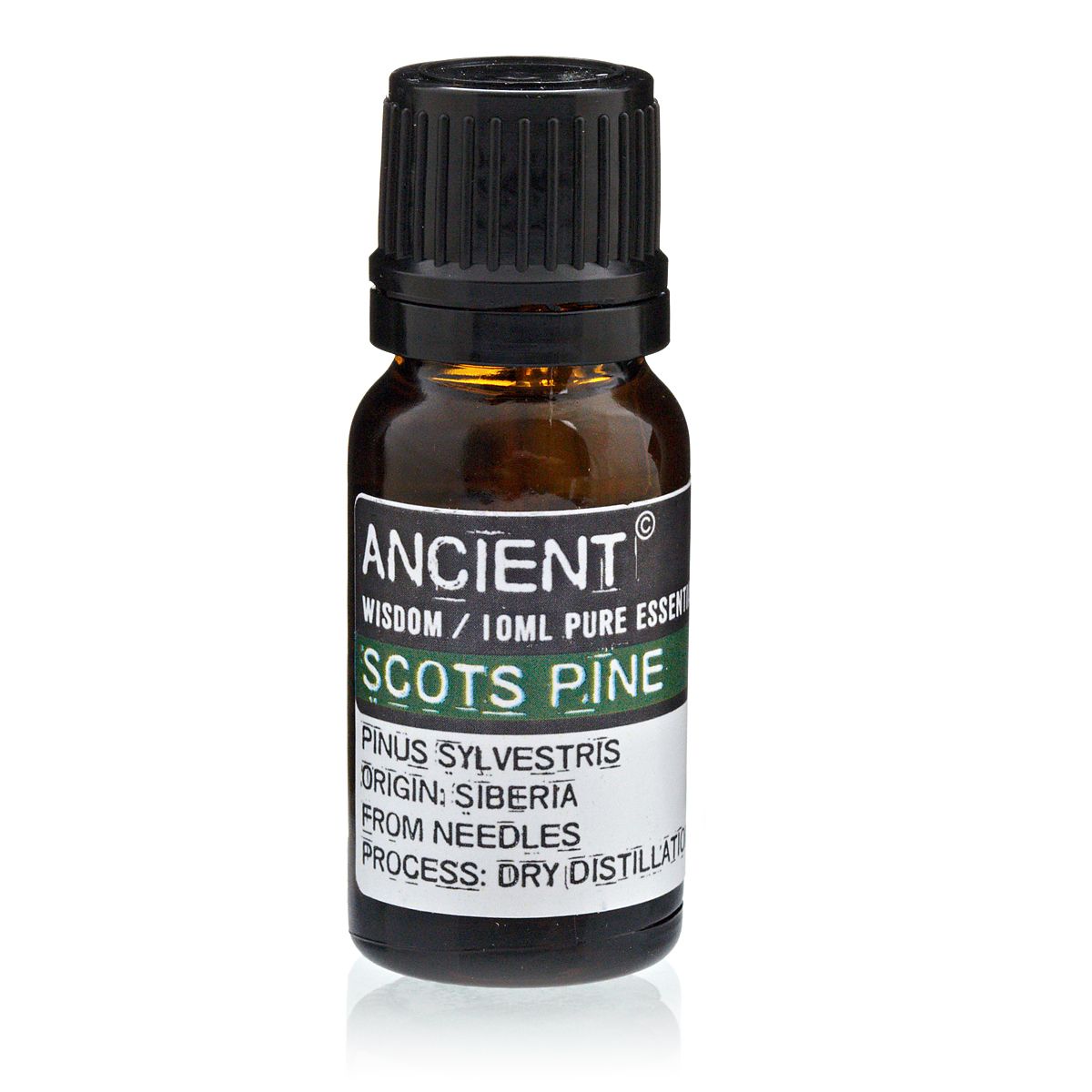 Alt Tag: Pinus Sylvestris Essential Oil – 10 ML Scots Pine 10ml pure essential oil bottle, Siberia origin, distilled from needles