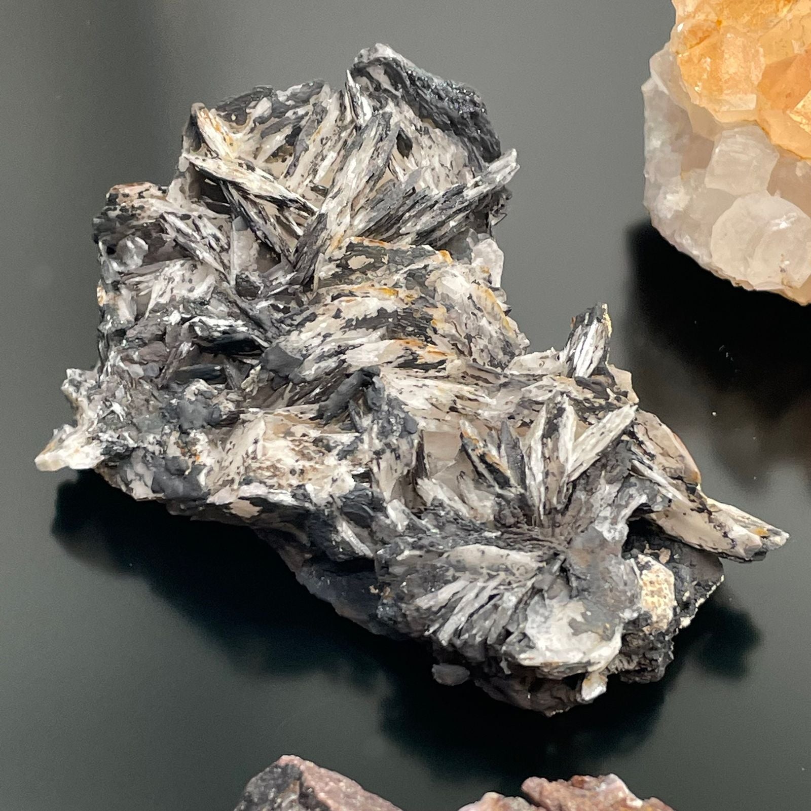 Rare Mineral Specimens Set – 24 Assorted Pieces, close-up of silver-gray bladed mineral specimen on dark background