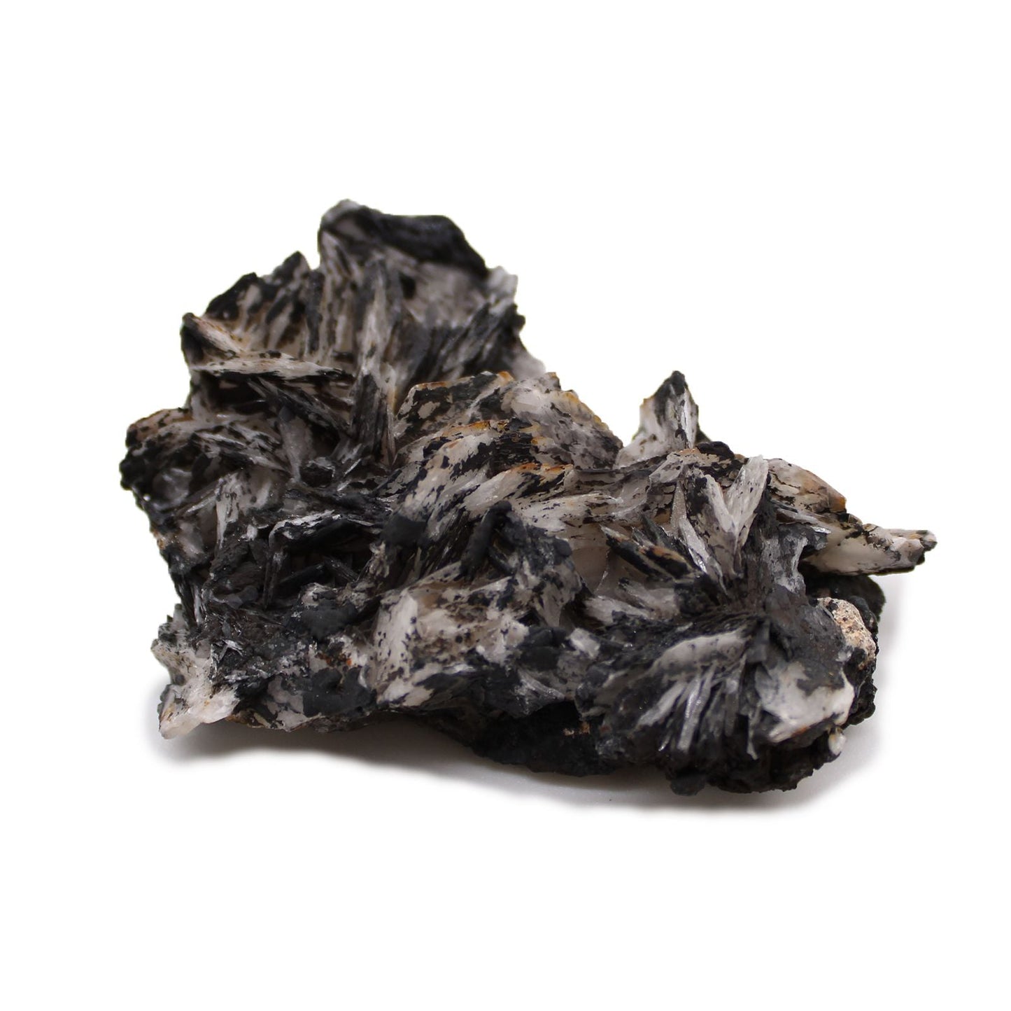 Alt Tag: Rare Mineral Specimens Set – 24 Assorted Pieces close-up of a black and white mineral cluster specimen on white background