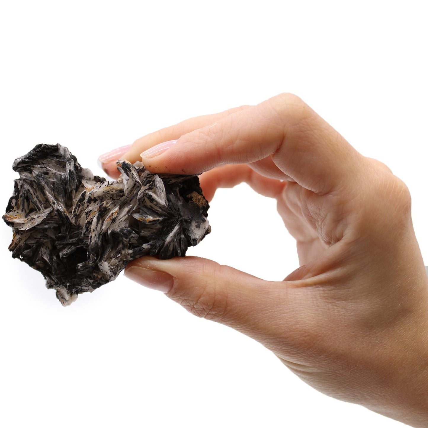 Rare Mineral Specimens Set – 24 Assorted Pieces, hand holding dark crystal mineral specimen on white background