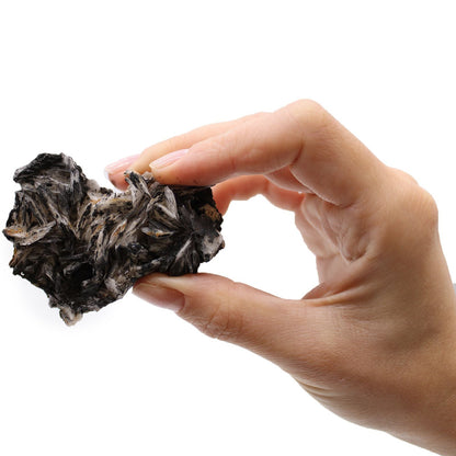 Rare Mineral Specimens Set – 24 Assorted Pieces, hand holding dark crystal mineral specimen on white background