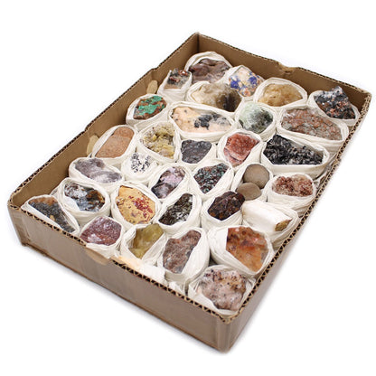 Alt Tag: Rare Mineral Specimens Set – 24 Assorted Pieces in tray with 24 assorted mineral and gemstone rough specimens