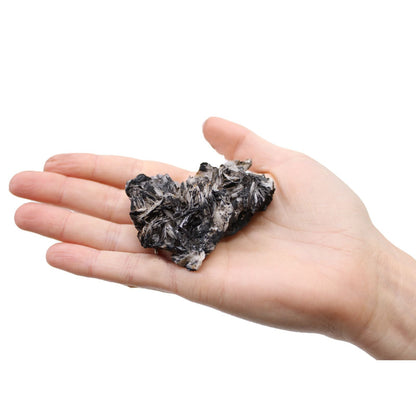 Rare Mineral Specimens Set – 24 Assorted Pieces sample: dark metallic mineral specimen held in a hand on white background