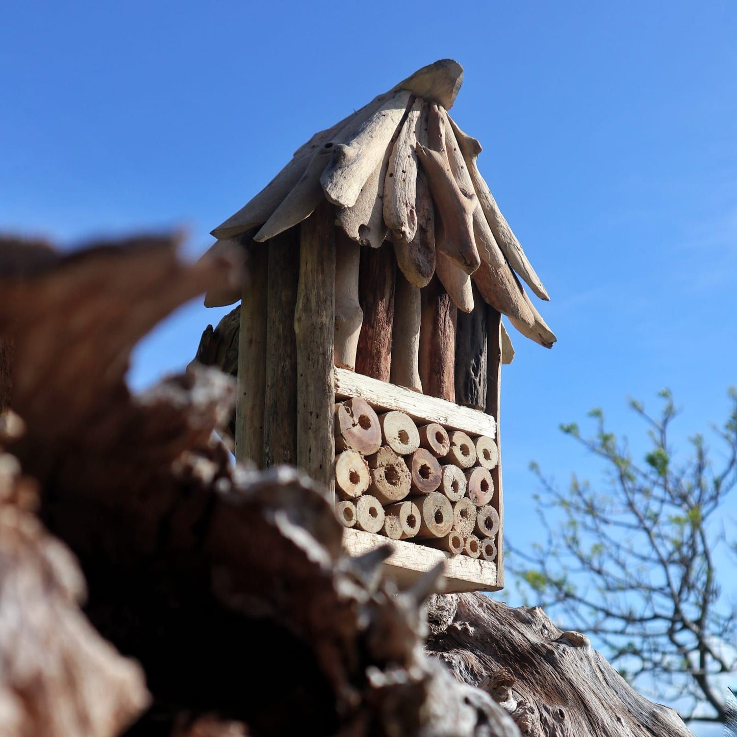 Alt Tag: Recycled Driftwood Bee & Insect Box – Double double nesting box made from recycled driftwood with drilled holes, mounted outdoors