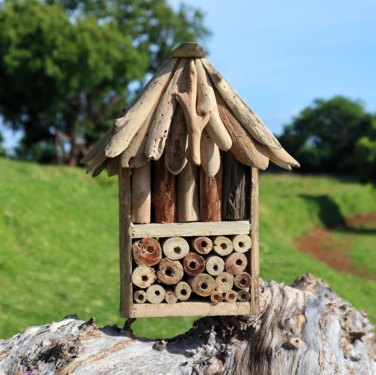 Recycled Insect recycled driftwood bee and insect house – Double Box – Sagabliss