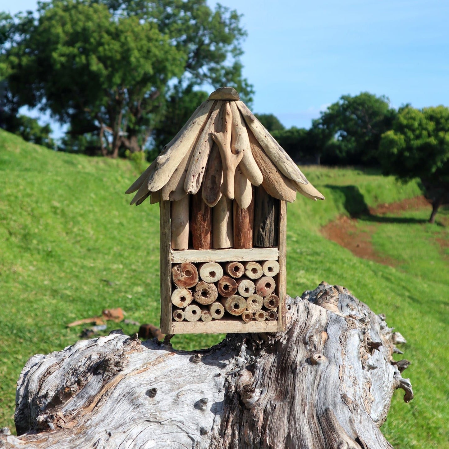 Recycled Driftwood Bee & Insect Box – Double sobre tronco de madera en jardín, hotel de insectos con tubos de anidación