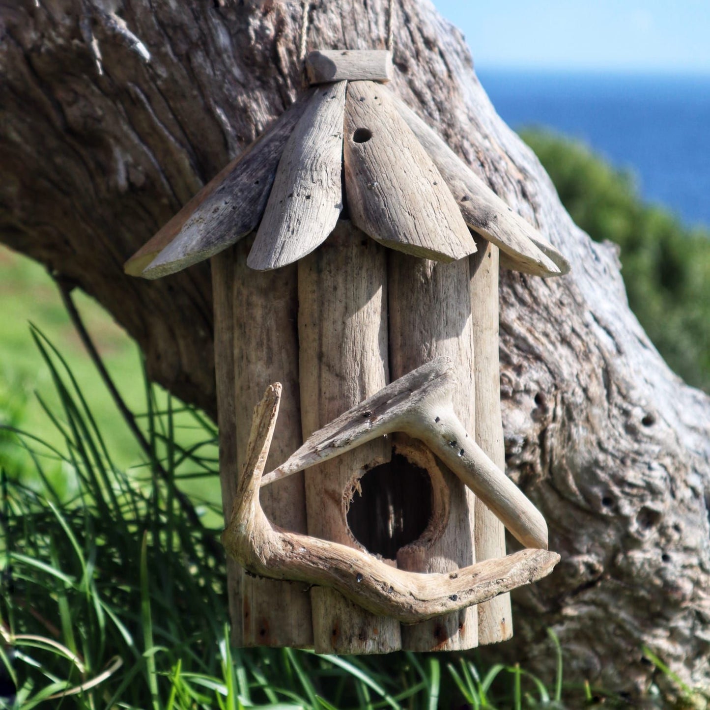 Alt Tag: Recycled Driftwood Bird Box – Small, handmade recycled driftwood birdhouse with round entrance hole, outdoors in garden