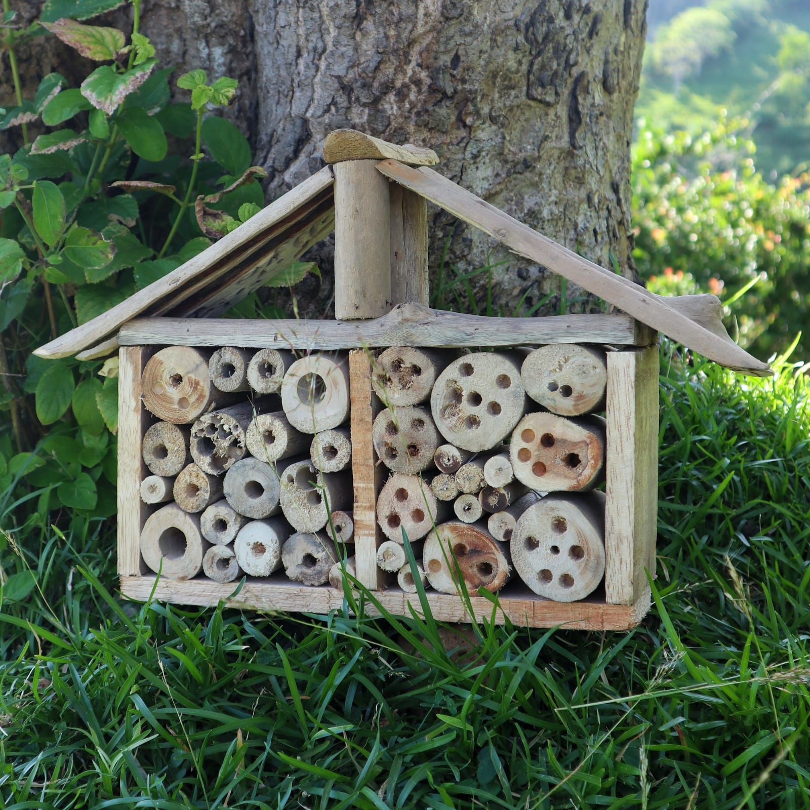 Recycled Driftwood Insect House – 44 CM, hotel de insectos de madera reciclada con compartimentos y troncos perforados en jardín