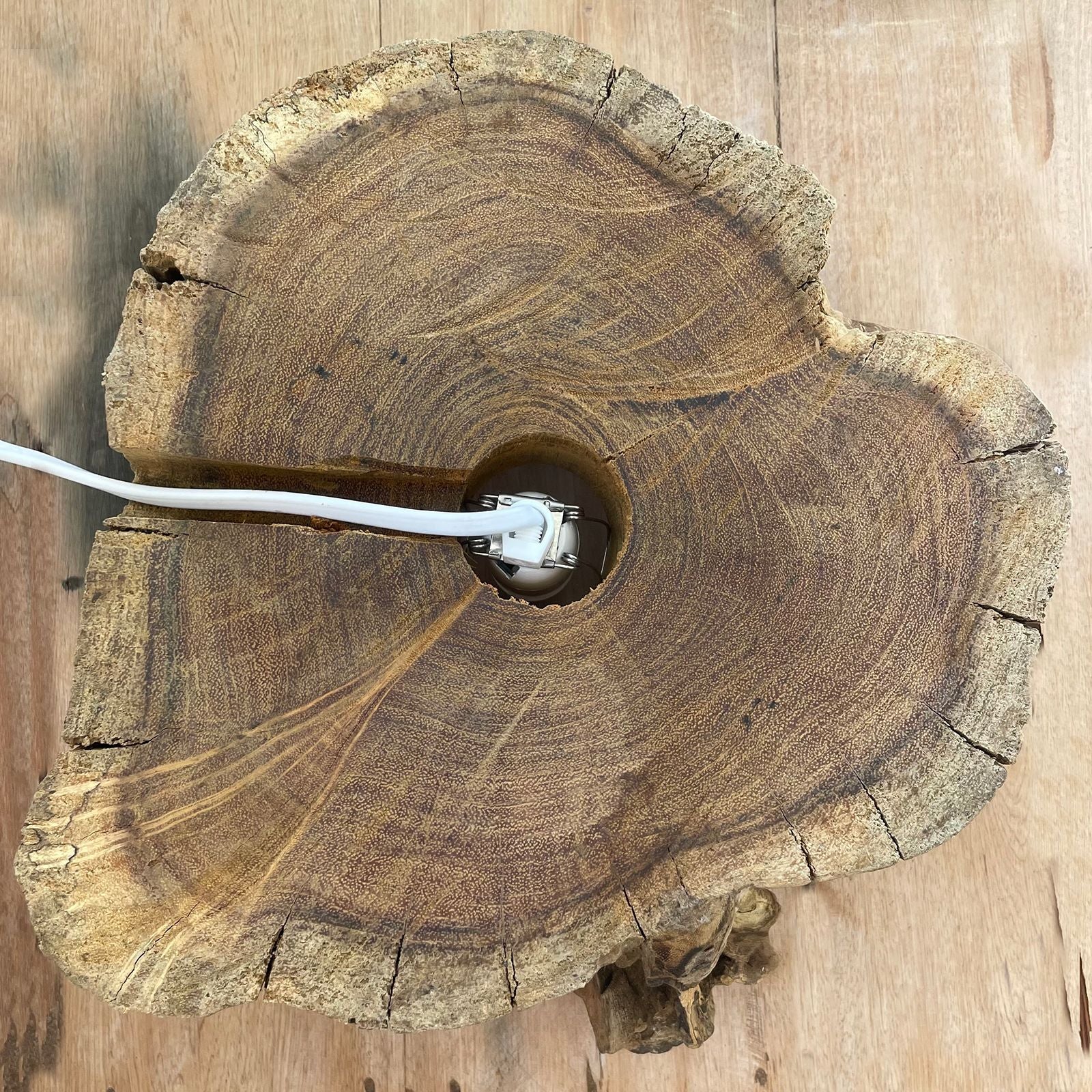 Recycelte Schale aus geschmolzenem Glas in Fischform – 32CM Holzsockel Gamal, Ansicht von oben, Halterung mit Kabel in der Mitte