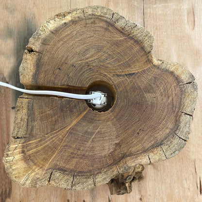 Recycelte Schale aus geschmolzenem Glas in Fischform – 32CM Holzsockel Gamal, Ansicht von oben, Halterung mit Kabel in der Mitte