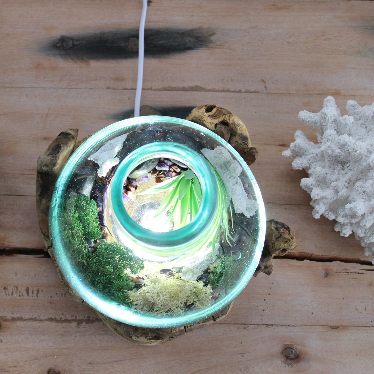 Alt-Tag: Fischschale aus recyceltem geschmolzenem Glas – 32CM Draufsicht, recycelte Glasschale, geformt auf einer Basis aus Gamal-Holz, Terrarium-Deko
