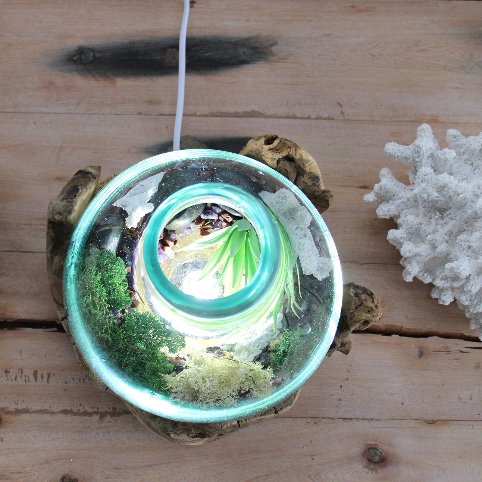 Alt-Tag: Fischschale aus recyceltem geschmolzenem Glas – 32CM Draufsicht, recycelte Glasschale, geformt auf einer Basis aus Gamal-Holz, Terrarium-Deko