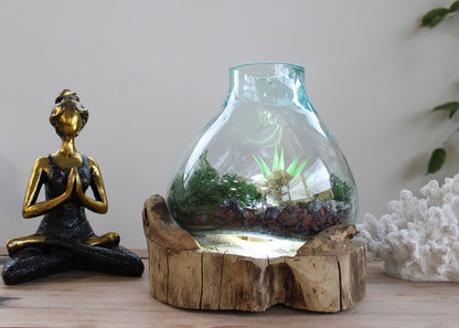 Fischschale aus recyceltem geschmolzenem Glas – 32CM auf rustikalem Holzsockel mit Steinen und Luftpflanzen, präsentiert als Tischdekoration auf dem Tisch