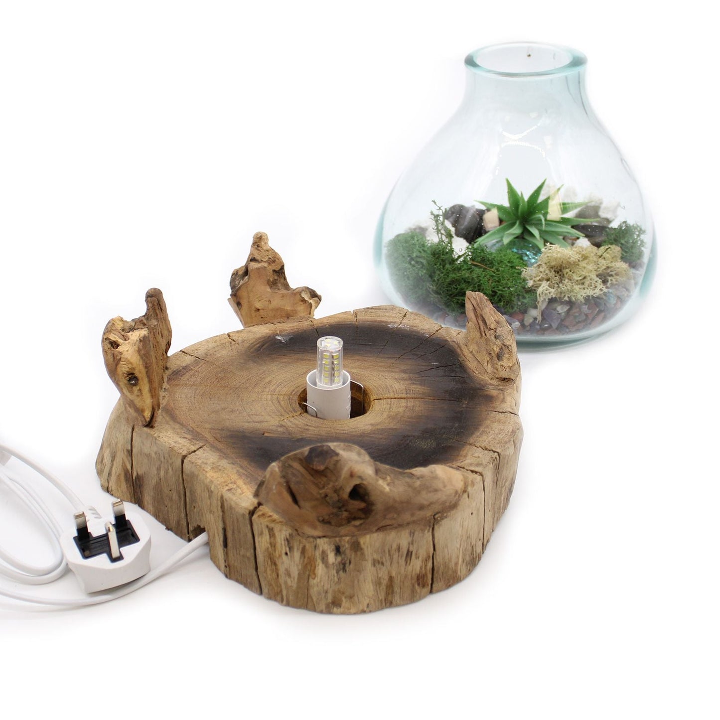 Recycelte Fish Bowl aus geschmolzenem Glas – 32CM handgefertigte Schale aus recyceltem Glas auf Gamal-Holzsockel, 3,7L, Terrarium mit Steinen und Luftpflanze