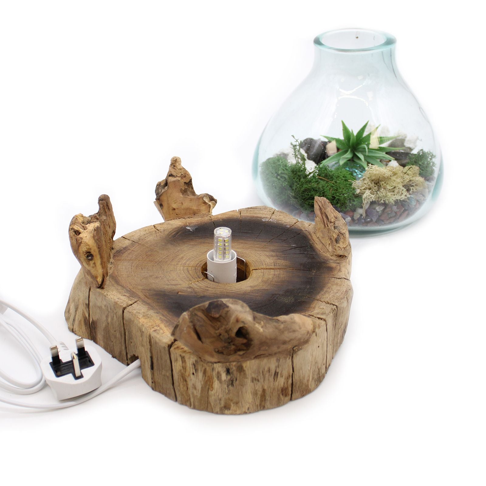 Recycelte Fish Bowl aus geschmolzenem Glas – 32CM handgefertigte Schale aus recyceltem Glas auf Gamal-Holzsockel, 3,7L, Terrarium mit Steinen und Luftpflanze