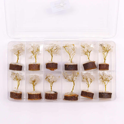 Rock Quartz Gemstone Tree – 6CM mini crystal tree set with rock quartz chips on wooden bases in clear storage box