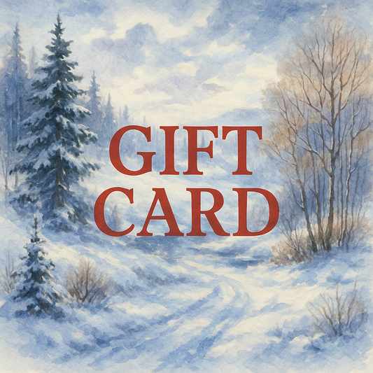 Winter Gift Card Sagabliss €100 digital gift card for organic cotton apparel and sustainable accessories, winter-themed design with "GIFT CARD"
