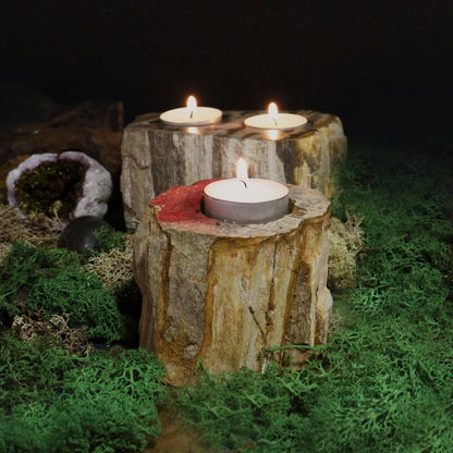 Single Low Petrified Wood Candle Holder – Natural Stone with tea light candles, natural stone decor on moss