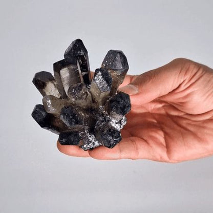 Alt Tag: Smoky Ghost Quartz Cluster – 250–300G 8CM sostenido en la mano, cristal natural ahumado en forma de racimo