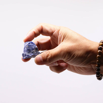 Alt Tag: Sodalite Gemstone Crystals – 500G, mano sosteniendo piedra sodalita en bruto azul con vetas blancas sobre fondo blanco