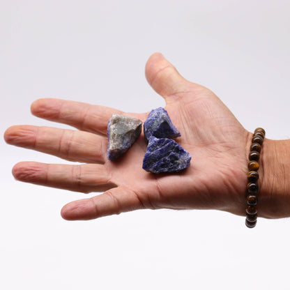 Sodalite Gemstone Crystals – 500G, piedras en bruto azules con vetas blancas sobre una mano, muestra de tamaño