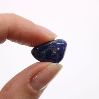 Sodalite Gemstone Tumble Stones – 24 Pure Blue Pieces, close-up of a polished blue sodalite stone held between fingers
