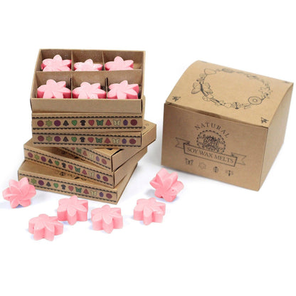 Alt Tag: Set de regalo de wax melts de mezcla de soja – wax melts de soja con forma de flor rosa de magnolia japonesa en caja de regalo, mezcla sostenible de cera de soja y palma