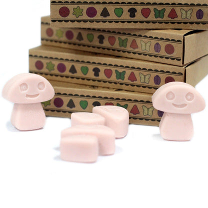 Alt Tag: Soy & Palm Luxury Wax Melts – Old Ginger Gift Set natural wax melts in boxed set with pink mushroom-shaped melts on white background